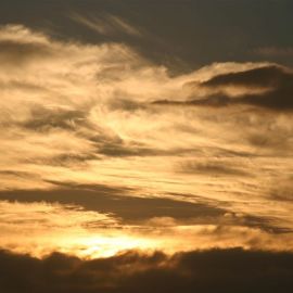 Skies