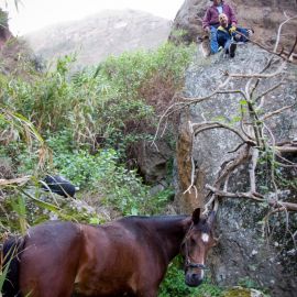 Horse in the Barranco