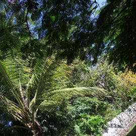 El Huerto de las Flores