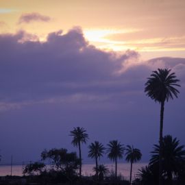 Puerto de las Nieves