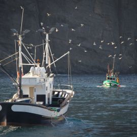 Puerto de las Nieves