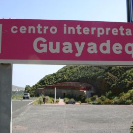 guayadeque-005