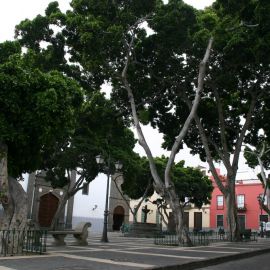 parque-doramas-002