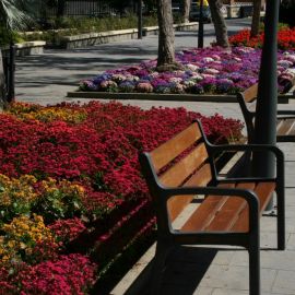 Las Palmas de Gran Canaria