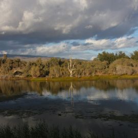 La Charca de Maspalomas