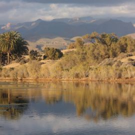 La Charca de Maspalomas