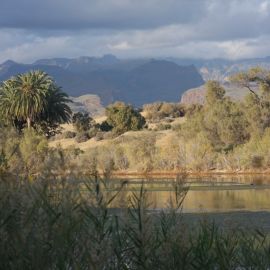 La Charca de Maspalomas