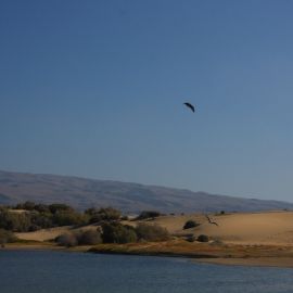 La Charca de Maspalomas