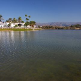 La Charca de Maspalomas