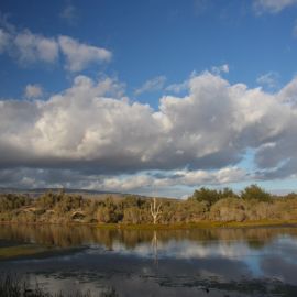 La Charca de Maspalomas