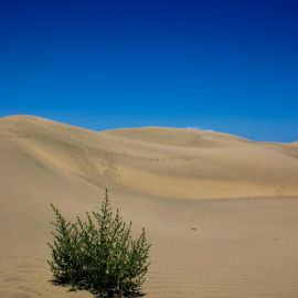 maspalomas-007