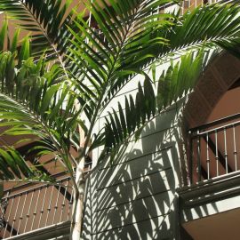 maspalomas-086