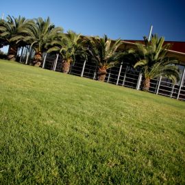 maspalomas-123