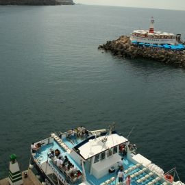 ferry-mogan-blue-bird-027