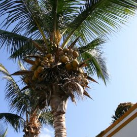 puerto_de_mogn-006