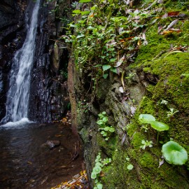 Hiking in the Barranco de los Cernicalos