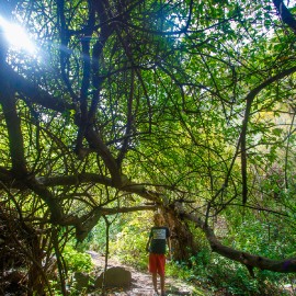 Hiking in the Barranco de los Cernicalos