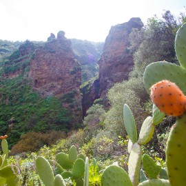 Hiking in the Barranco de los Cernicalos