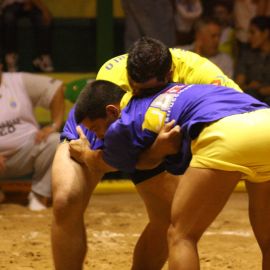 lucha-canaria-028