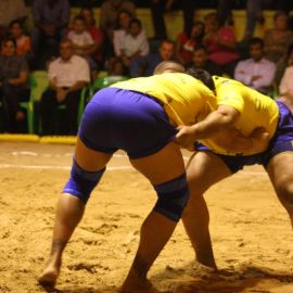 Lucha Canaria (Canarian Wrestling)