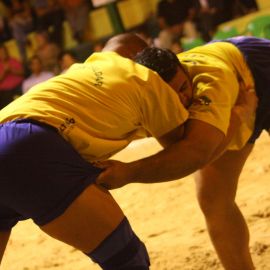 lucha-canaria-047