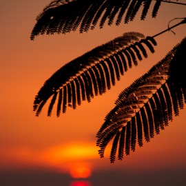 Gran Canaria Sunset_33