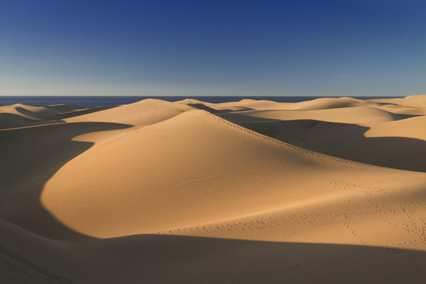 Access to be restriced to marked trails in the Maspalomas dunes in Gran Canaria