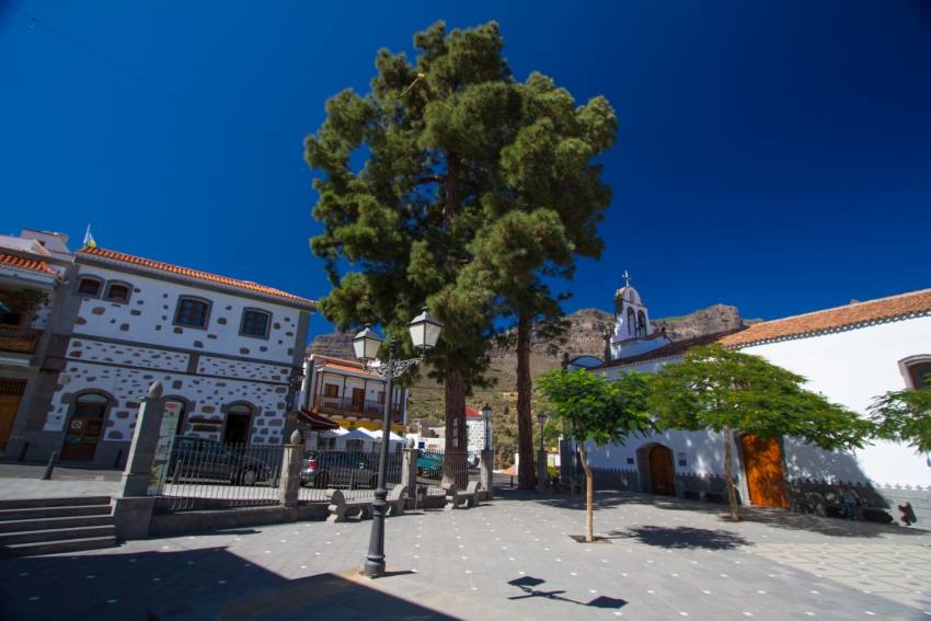 San Bartolomé or Tunte market is a great local affair