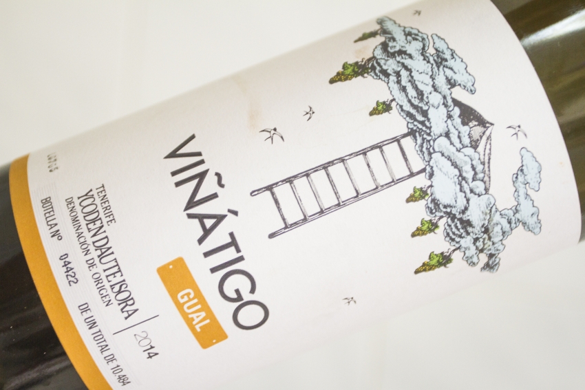Viñatigo&#039;s Gual varietal wine is a must try
