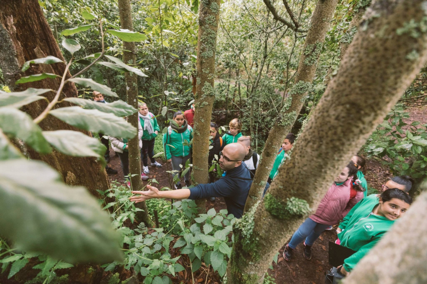 Let's Make Gran Canaria Green Again