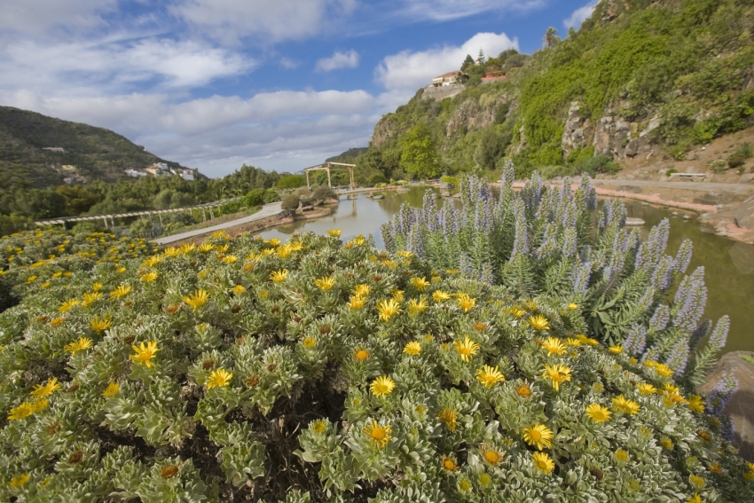 The beautiful Jardín Canaria in Gran Canaria