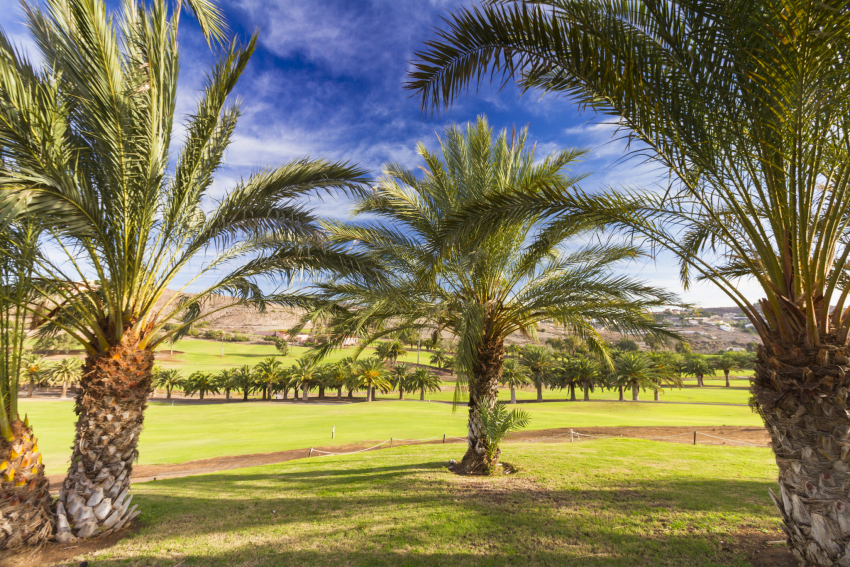 Gran Canaria weather: Rain in the north, some sunshine in the resorts