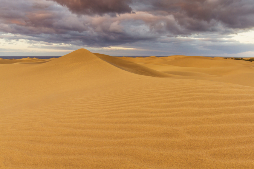 The Maspalomas dunes have returned to their pristine natural form after a few weeks of Gran Canaria lockdown