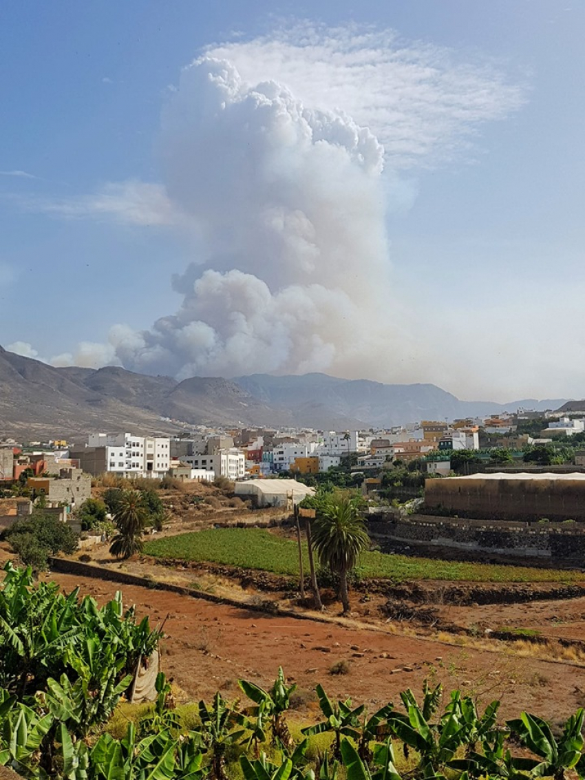 Uncontrollable Gran Canaria Fire Reaches Tamadaba Forest