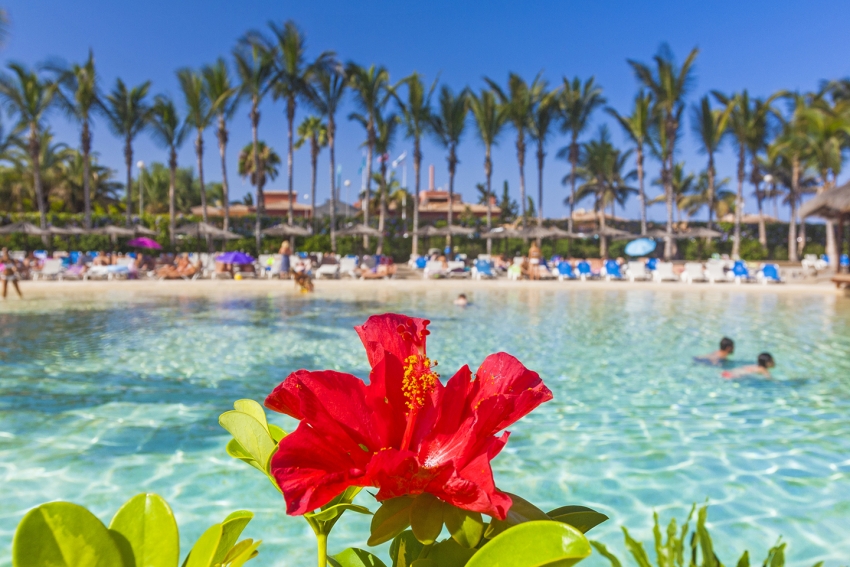 The swimming pools at the Maspalomas & Tabaiba Princess Are Epic