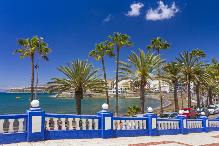 Arguineguín beachfront with palm trees