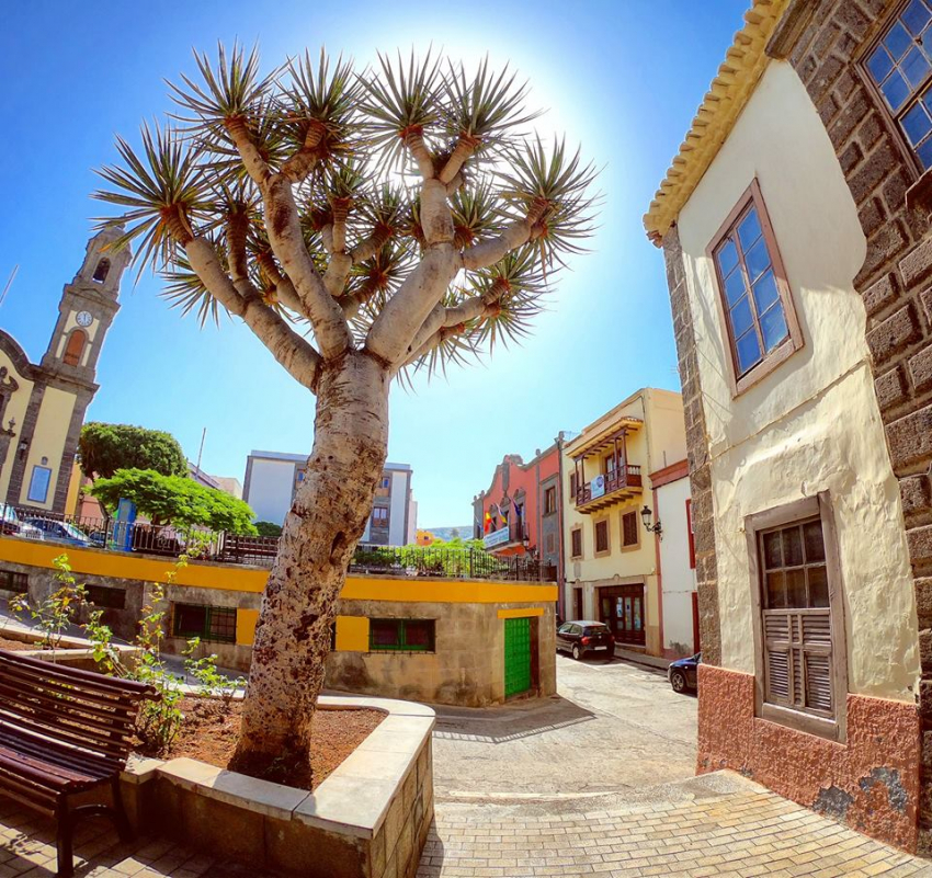 Guía town in north Gran Canaria: The Plaza and Church
