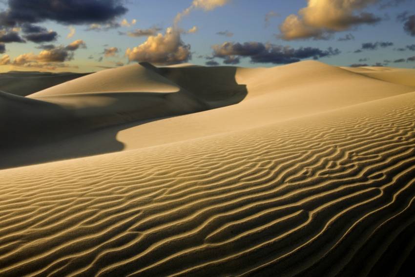 The Maspalomas dunes: A must visit attraction in Gran Canaria